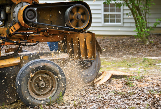 stump grinding dallas tx